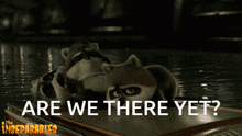 Are We There Yet Raccoon GIF - Are We There Yet Raccoon The Inseparables GIFs