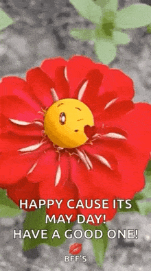 a red flower with a smiley face on it and a heart in its center .