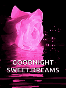 Good Night Sweet Dreams GIF - Good Night Sweet Dreams Water GIFs