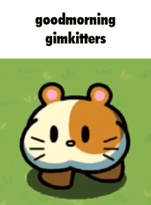 Goodmorning Gimkitters Goodmorning Chat GIF