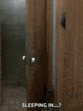 a person is peeking out of a wooden door and sleeping in a bathroom .