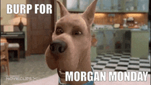 Morgan Morgan Monday GIF - Morgan Morgan Monday House Fitted GIFs