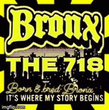 the bronx 718