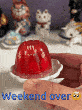 Weekend Over Jello Cat GIF - Weekend Over Jello Cat GIFs