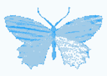 blue shining butterfly