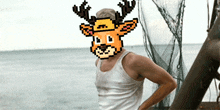 Deerxing Deer-xing GIF - Deerxing Deer Deer-xing GIFs