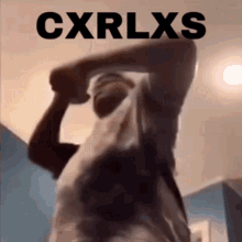 Carlos Cxrlxs GIF - Carlos Cxrlxs GIFs