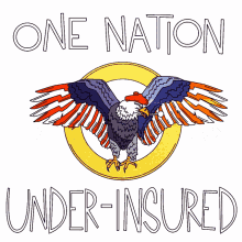 america united states usa one nation underinsured