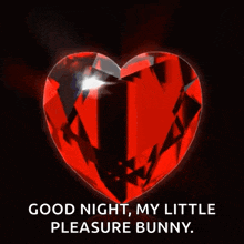 a red heart with the words `` good night , my little pleasure bunny '' written on it .