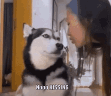 Nokissing Nokiss GIF - Nokissing Kissing Kiss GIFs