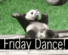 Friday Dance GIF - Friday Dance Tgif Panda GIFs