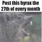 a picture of a hyena with its mouth open and the words post this hyrax the 27th of every month above it