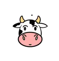 a black and white cow with a pink nose has a heart in its mouth