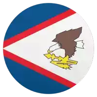 a round flag with an eagle on it and a lightning bolt