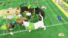 puppy bowl superbowl sunday touchdown puppies football