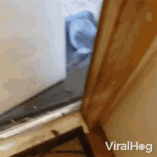 Blocking The Door Viralhog GIF - Blocking The Door Viralhog You Cant Come Out GIFs