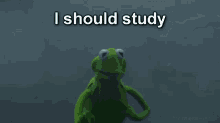 Kermit Study GIF - Kermit Study Memes GIFs