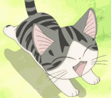 Meow Cat GIF - Meow Cat Running GIFs
