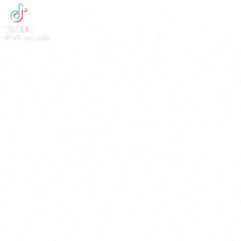 a white background with chinese writing on it