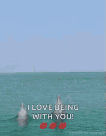 Sea Jumping GIF - Sea Jumping Dolphin GIFs