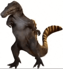a dinosaur with a long tail is standing on a white background .