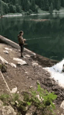 Fishing Peche GIF - Fishing Peche GIFs