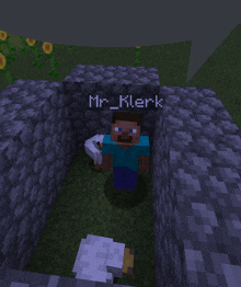 a minecraft character named mr. klerk is standing in a cave