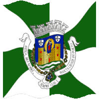a green and white flag with a coat of arms