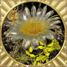 Szép Napod Legyen Flower GIF - Szép Napod Legyen Flower Sparkling GIFs
