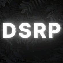 Dsrp GIF - Dsrp GIFs