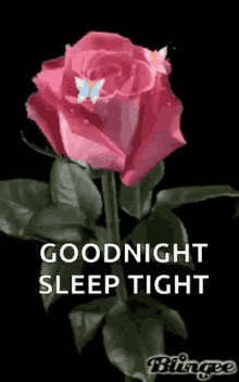 good night sleep tight sparkles flowers butterflies