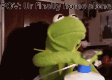 Kermit Banging GIF - Kermit Banging Jerking GIFs