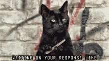 Waiting On Your Response Like - Cats With Thumbs GIF