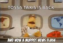 a cartoon of muppet news announcer says tossa taxis is back and now a muppet news flash