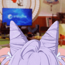a close up of a cat 's ears looking at a computer screen that says stella on it