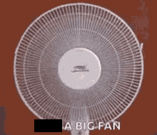 Bigfan GIF - Bigfan GIFs