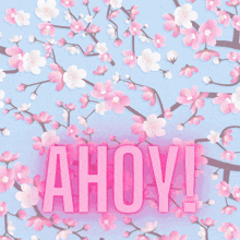 a picture of a boy with a cat ear and the word ahoy
