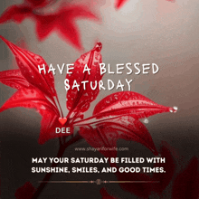 have a blessed saturday dee may your saturday be filled with sunshine smiles and good times ..