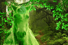 Tomascore Horsey GIF - Tomascore Horsey Rain Horse GIFs