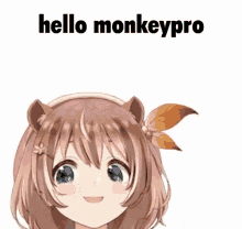 Hello Monkeypro Monkeypro GIF - Hello Monkeypro Monkeypro GIFs