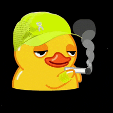 a yellow rubber duck wearing a green hat that says oc