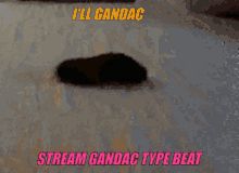 Gandac Gandac Type Beat GIF - Gandac Gandac Type Beat Ill Gandac GIFs
