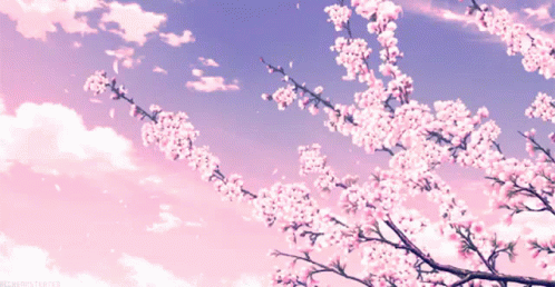 https://media.tenor.com/r3MeBihAouQAAAAC/cherry-blossom-anime.gif