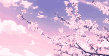 Cherry Blossom Anime GIF - Cherry Blossom Anime Jhnxsa GIFs