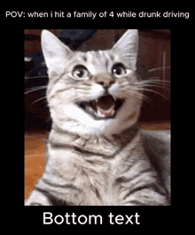 Friendly Cat Meme GIF - Friendly Cat Meme GIFs