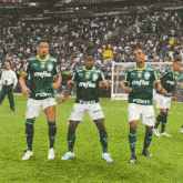 Dancinha Palmeiras GIF - Dancinha Palmeiras Palmeirense GIFs