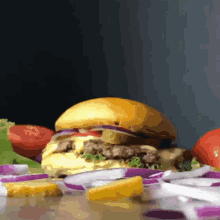 Saladhamburgada Burger GIF - Saladhamburgada Burger Salad Burger GIFs