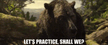 baloo lets practice shall we practice training practicing
