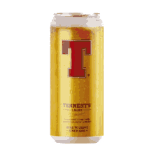 rugby tennentslager