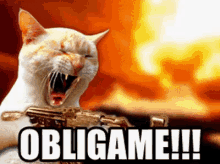 Obligame GIF - Obligame Cat Angry GIFs
